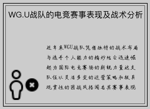 WG.U战队的电竞赛事表现及战术分析